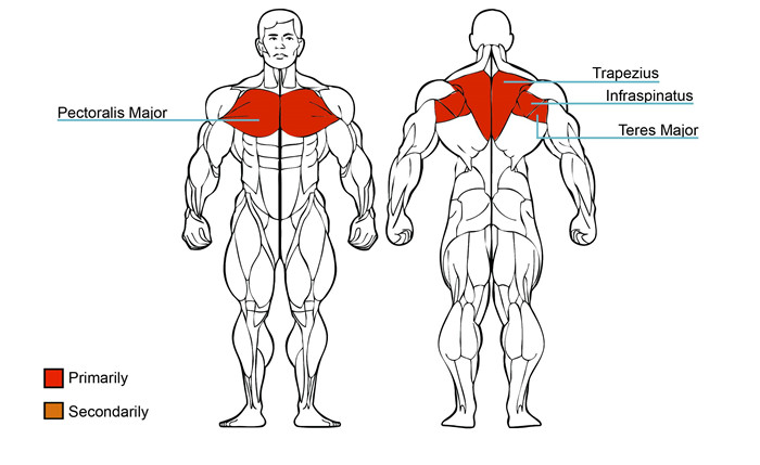 Rea Delts Machine